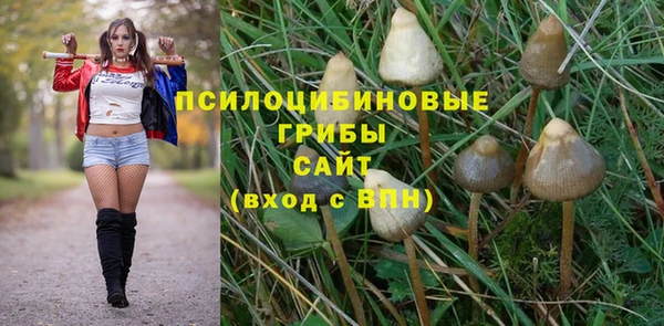 гидропоника Алзамай