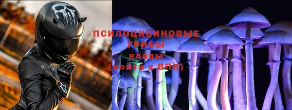 СК Алексин