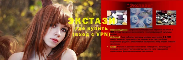 СК Алексин