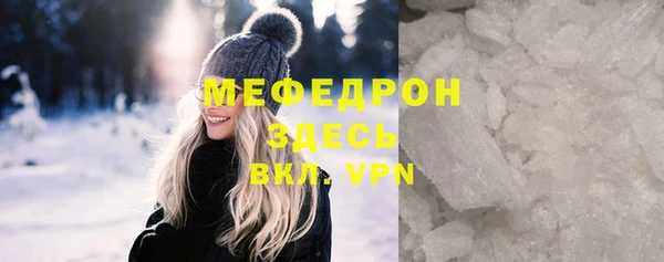 СК Алексин