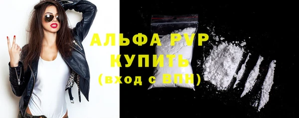 СК Алексин