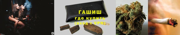 гидропоника Алзамай