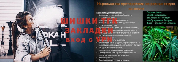 СК Алексин