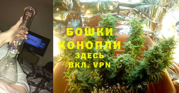 гидропоника Алзамай