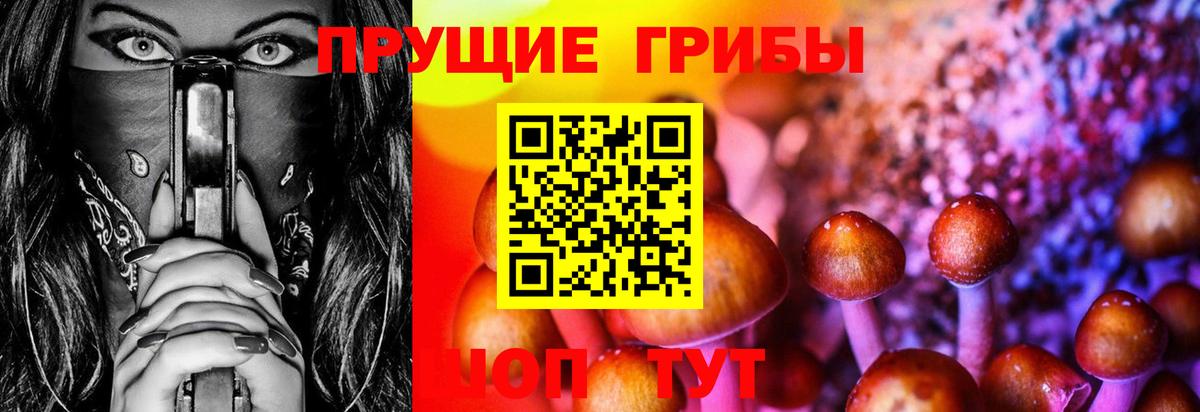 Псилоцибиновые грибы мухоморы  Вход с VPN  Сосновый Бор 